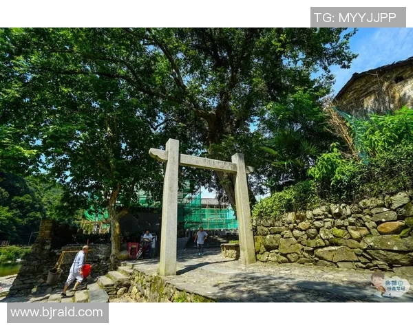 足球球星历史发展脉络及其对全球足球文化的深远影响分析